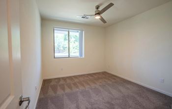 Ceiling fan
